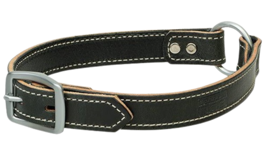 Bridle Leather Ring In Center Dog Collar Buckle and Hide Leather LLC