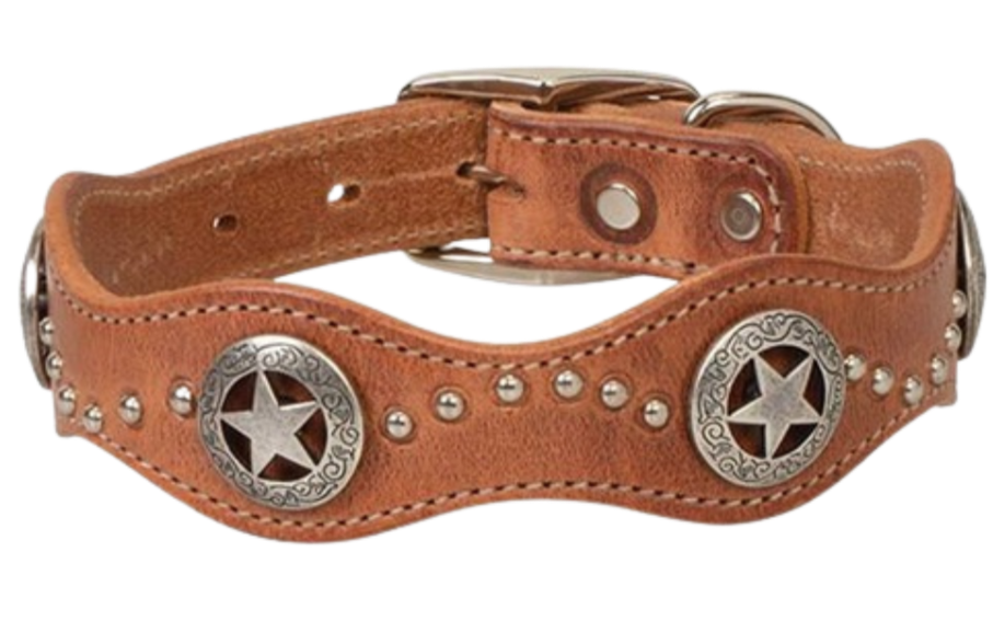 Leather dog collars with conchos best sale