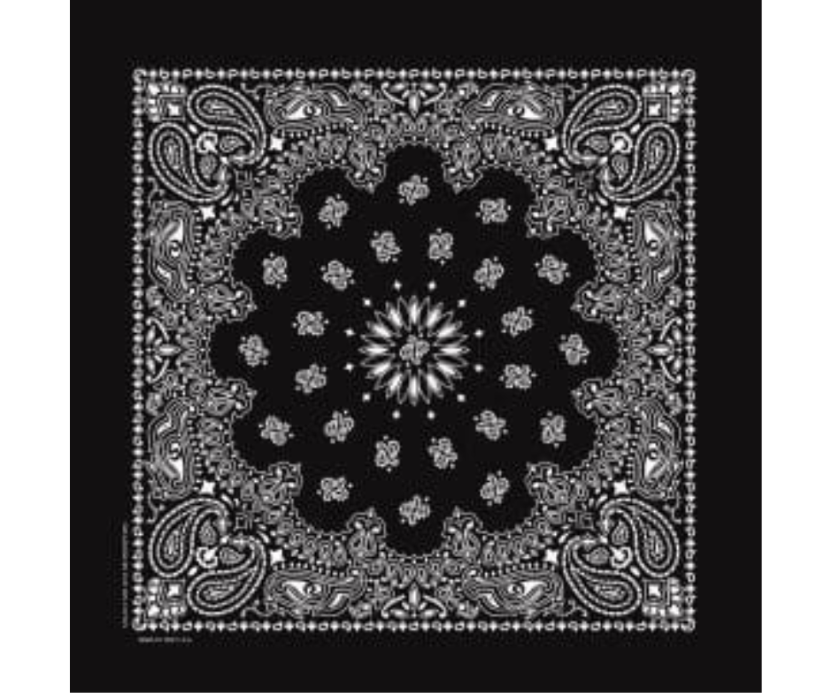 Traditional Paisley Bandannas USA Made 16 Colors