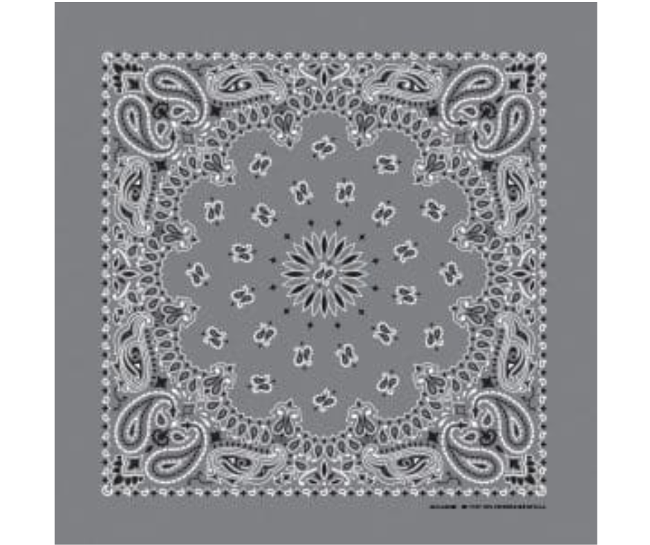 Traditional Paisley Bandannas USA Made 16 Colors