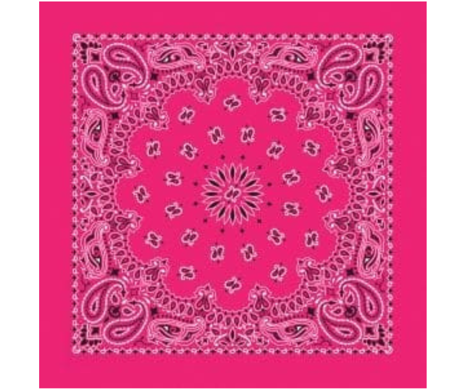 Traditional Paisley Bandannas USA Made 16 Colors