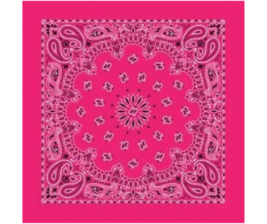 Traditional Paisley Bandannas USA Made 16 Colors