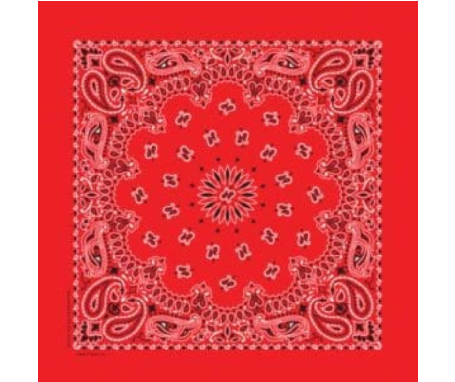 Traditional Paisley Bandannas USA Made 16 Colors