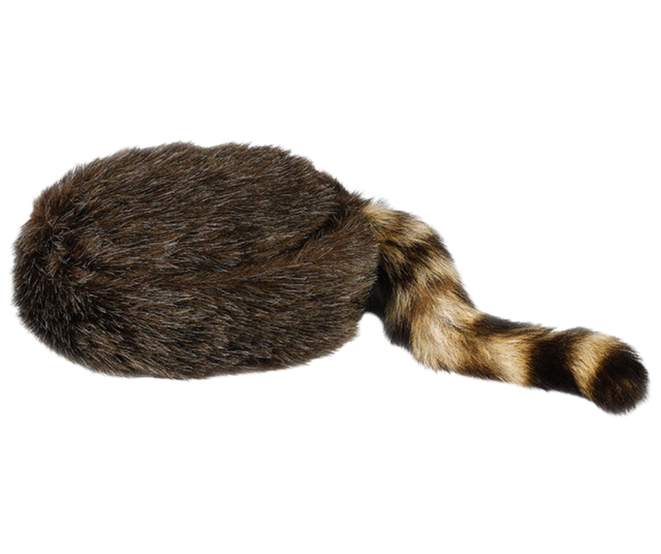 I remember watching Daniel Boone or Davy Crockett on TV when I was young and would've loved to have one of these! Walking around in our rural area of hills and creeks. Let this cap take you back to the frontier kind of days! Made of soft "acrylic" coon hair and a genuine raccoon tail. Visit our Smyrna, TN shop, conveniently located a short drive from downtown Nashville, choose from sizes 23" to 25".