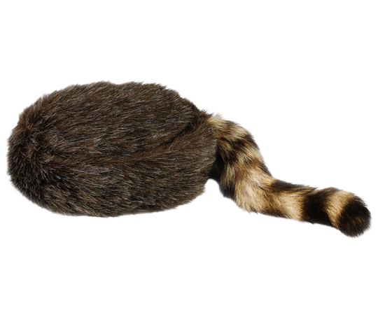 I remember watching Daniel Boone or Davy Crockett on TV when I was young and would've loved to have one of these! Walking around in our rural area of hills and creeks. Let this cap take you back to the frontier kind of days! Made of soft "acrylic" coon hair and a genuine raccoon tail. Visit our Smyrna, TN shop, conveniently located a short drive from downtown Nashville, choose from sizes 23" to 25".