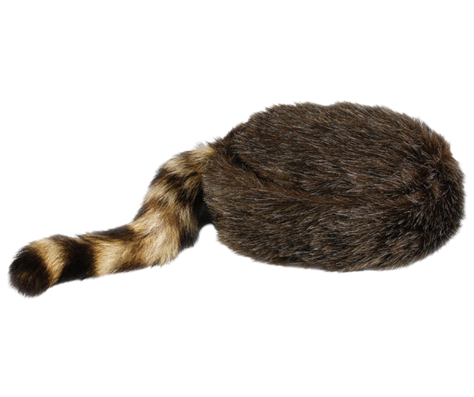 I remember watching Daniel Boone or Davy Crockett on TV when I was young and would've loved to have one of these! Walking around in our rural area of hills and creeks. Let this cap take you back to the frontier kind of days! Made of soft "acrylic" coon hair and a genuine raccoon tail. Visit our Smyrna, TN shop, conveniently located a short drive from downtown Nashville, choose from sizes 23" to 25".