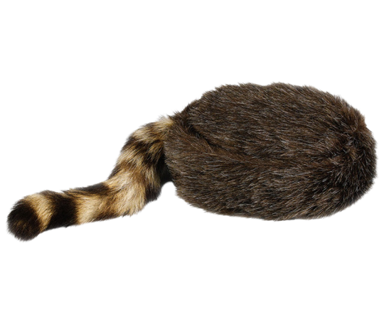 I remember watching Daniel Boone or Davy Crockett on TV when I was young and would've loved to have one of these! Walking around in our rural area of hills and creeks. Let this cap take you back to the frontier kind of days! Made of soft "acrylic" coon hair and a genuine raccoon tail. Visit our Smyrna, TN shop, conveniently located a short drive from downtown Nashville, choose from sizes 23" to 25".